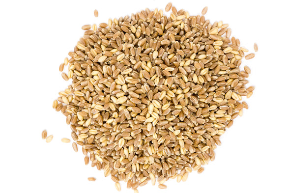 Basic Blend  | For Bread Fresh Flour